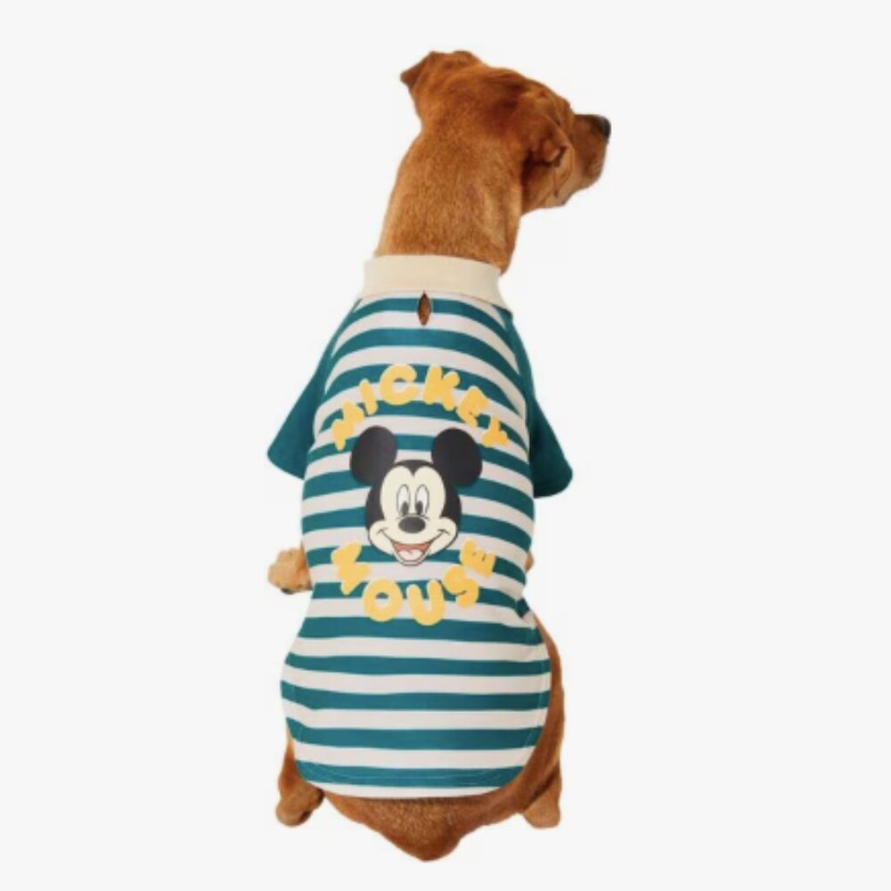 Chewy Mickey Mouse Green Cream Dog Rugby Polo Size Brand New With Tags XX-Large